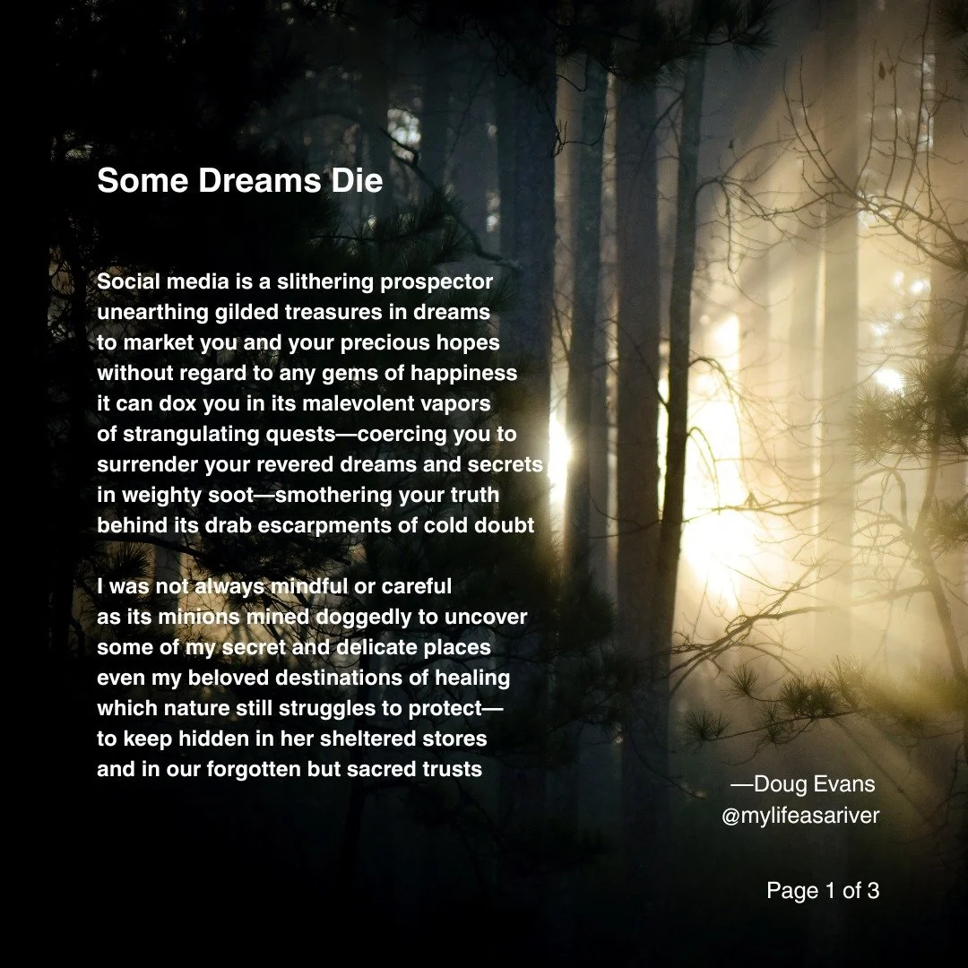 Another dream poem...
.
.
.
.
#poeticreveries_&nbsp;
#cosmosofwriters
#writersnetwork
#poets
#poetsofinstagram&nbsp;
#igpoetry
#poetry&nbsp;
#poetryofinstagram&nbsp;
#poetryislife
#creativewriting&nbsp;
#poems&nbsp;
#poeticsouls
#writingislife
#writi