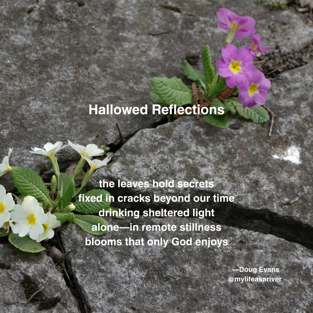 🌎 This is my March poem for the First Line Poets Project run by @emmajanepoetry, @firstlinepoets, and @noellewritespoetry. This month, I had the pleasure of working with @pragya.writing, who provided me with this wonderful first line, "The leav