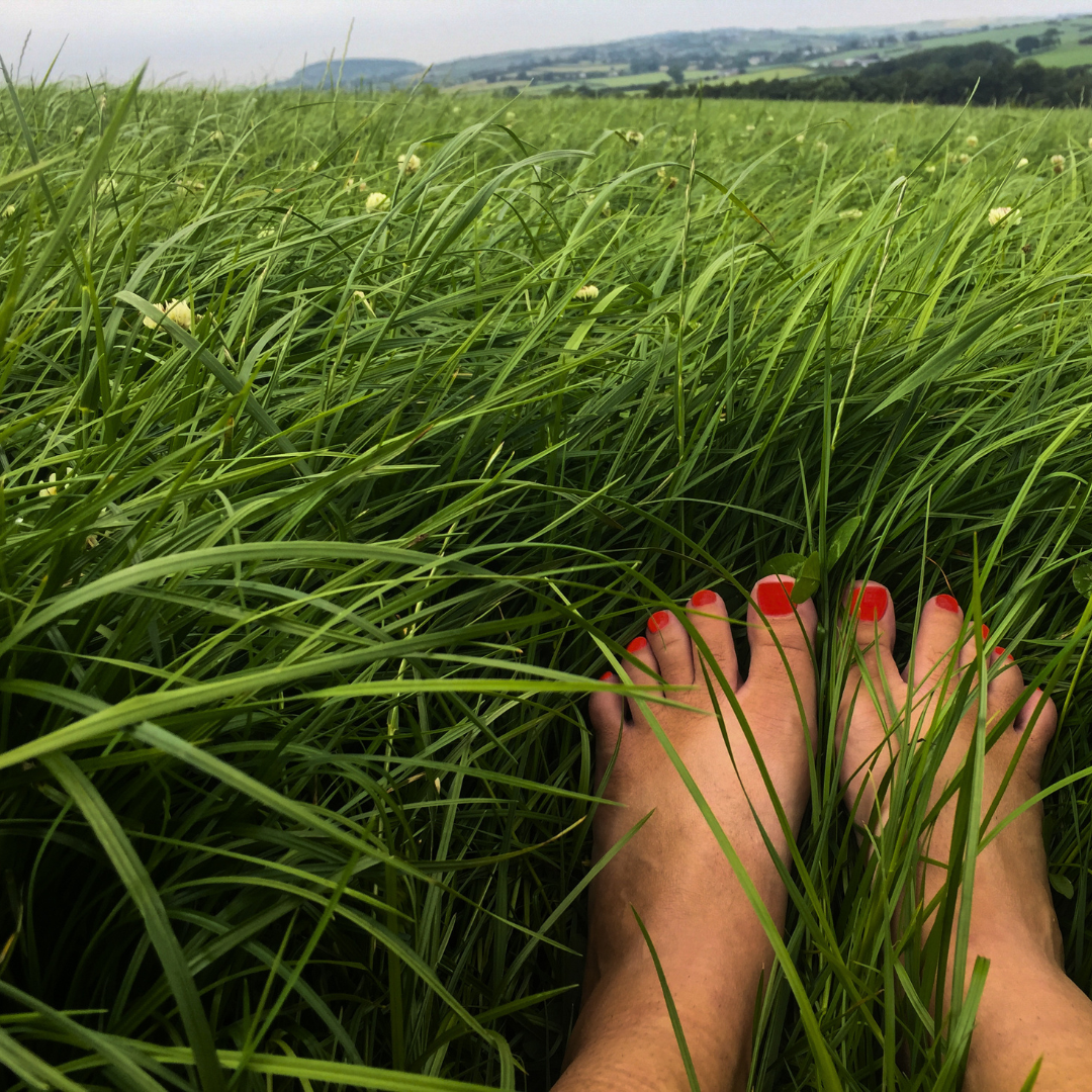 Touching Grass
