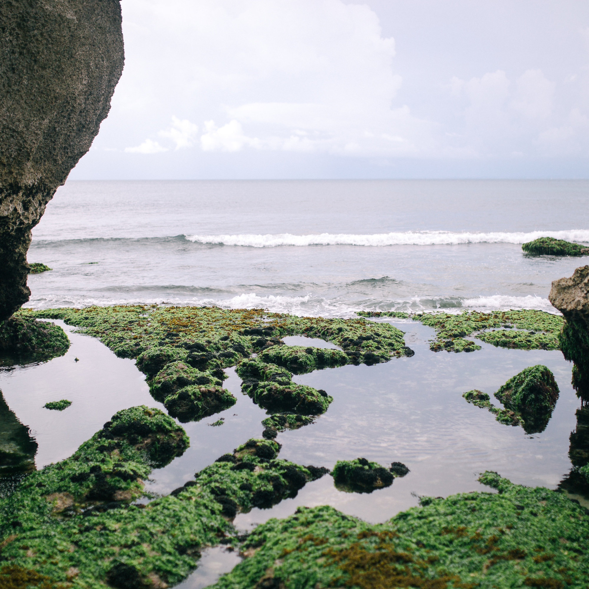Tide Pools