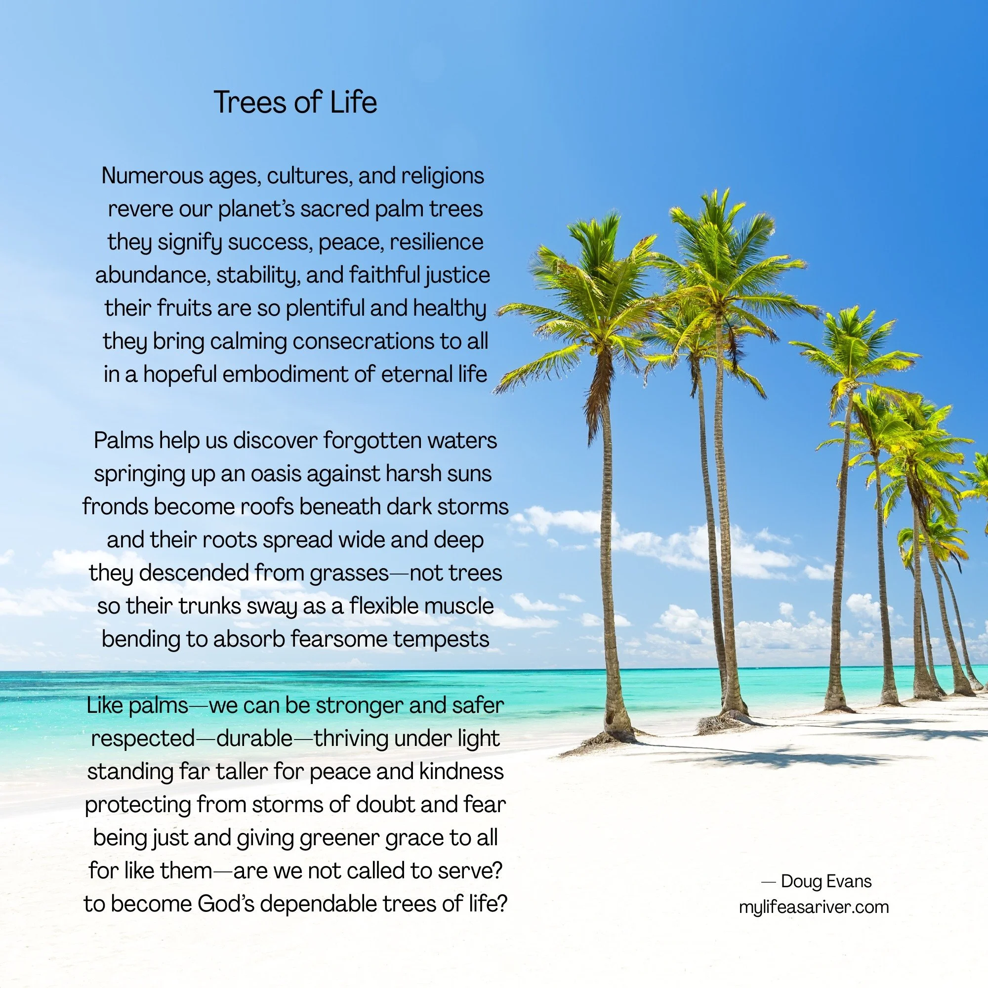Technically, they are not trees; they evolved from grass, but that makes them even more special. They symbolize life...
.
.
.
.
#poeticreveries_&nbsp;
#cosmosofwriters
#writersnetwork
#poets
#poetsofinstagram&nbsp;
#igpoetry
#poetry&nbsp;
#poetryofin