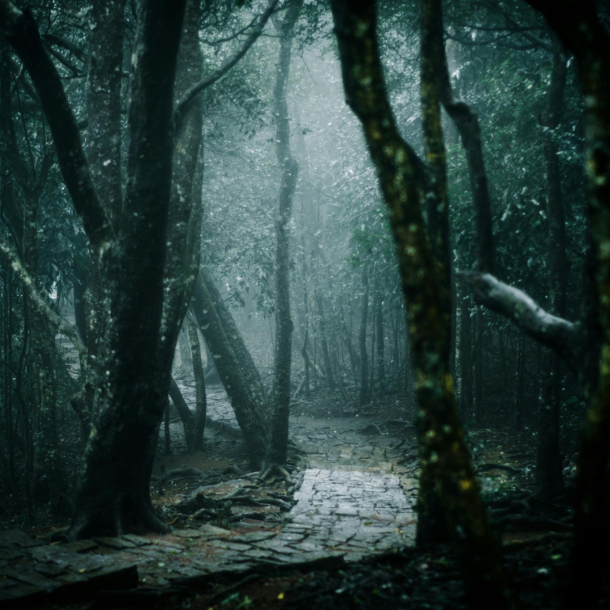 Hidden Paths
