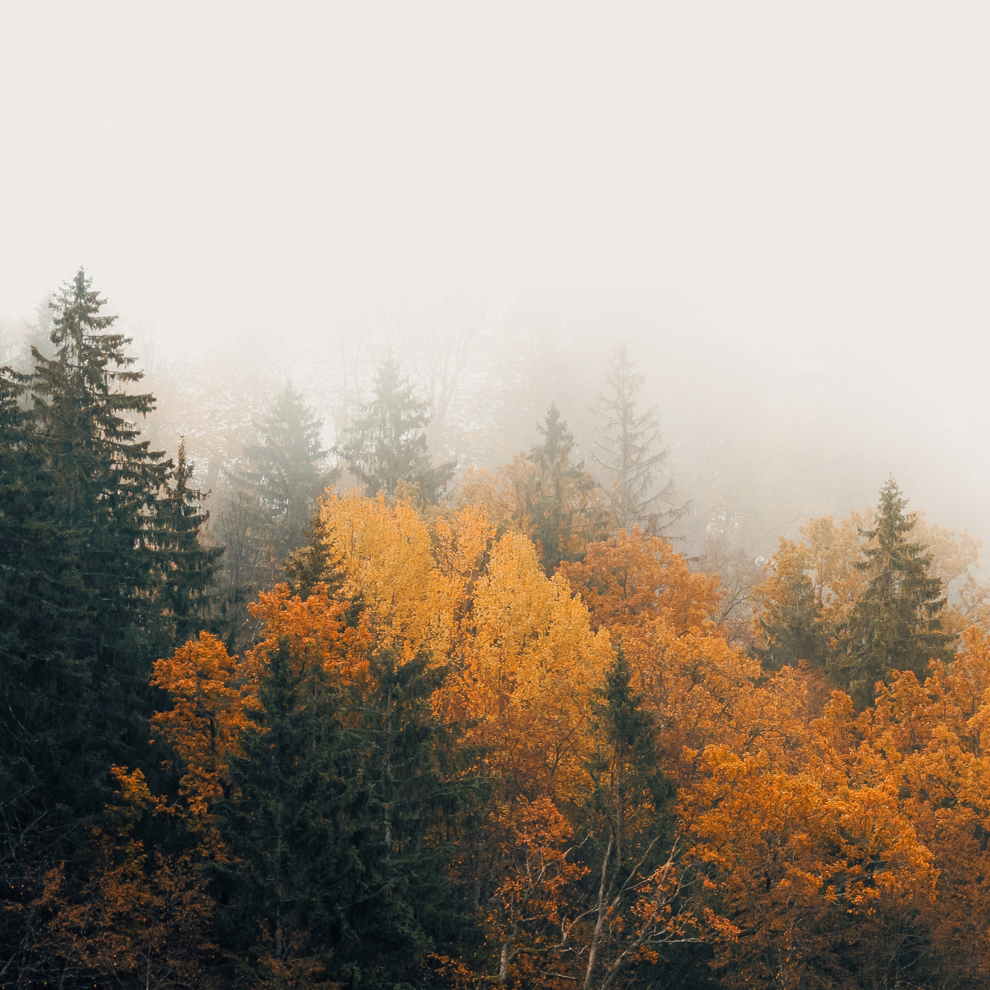 Journeys Beyond