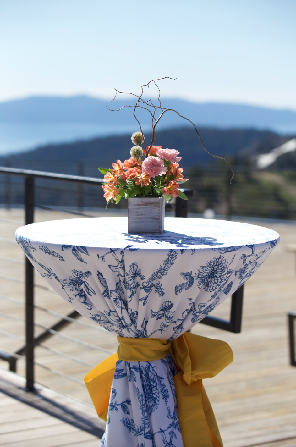 Screen Shot 2022-07-10 at 8.50.51 AM.png