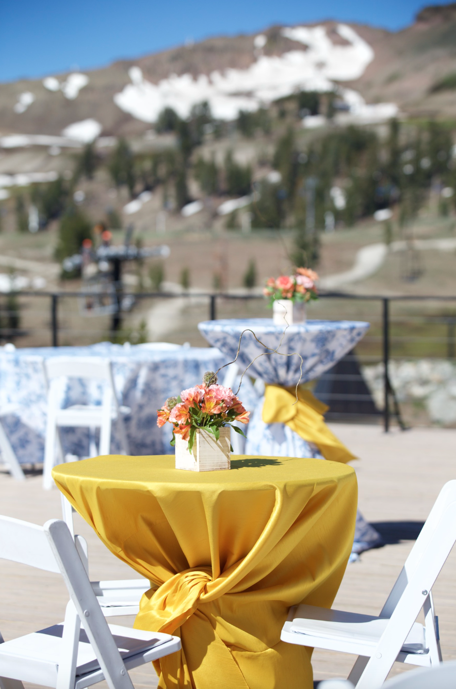 Screen Shot 2022-07-10 at 8.51.23 AM.png