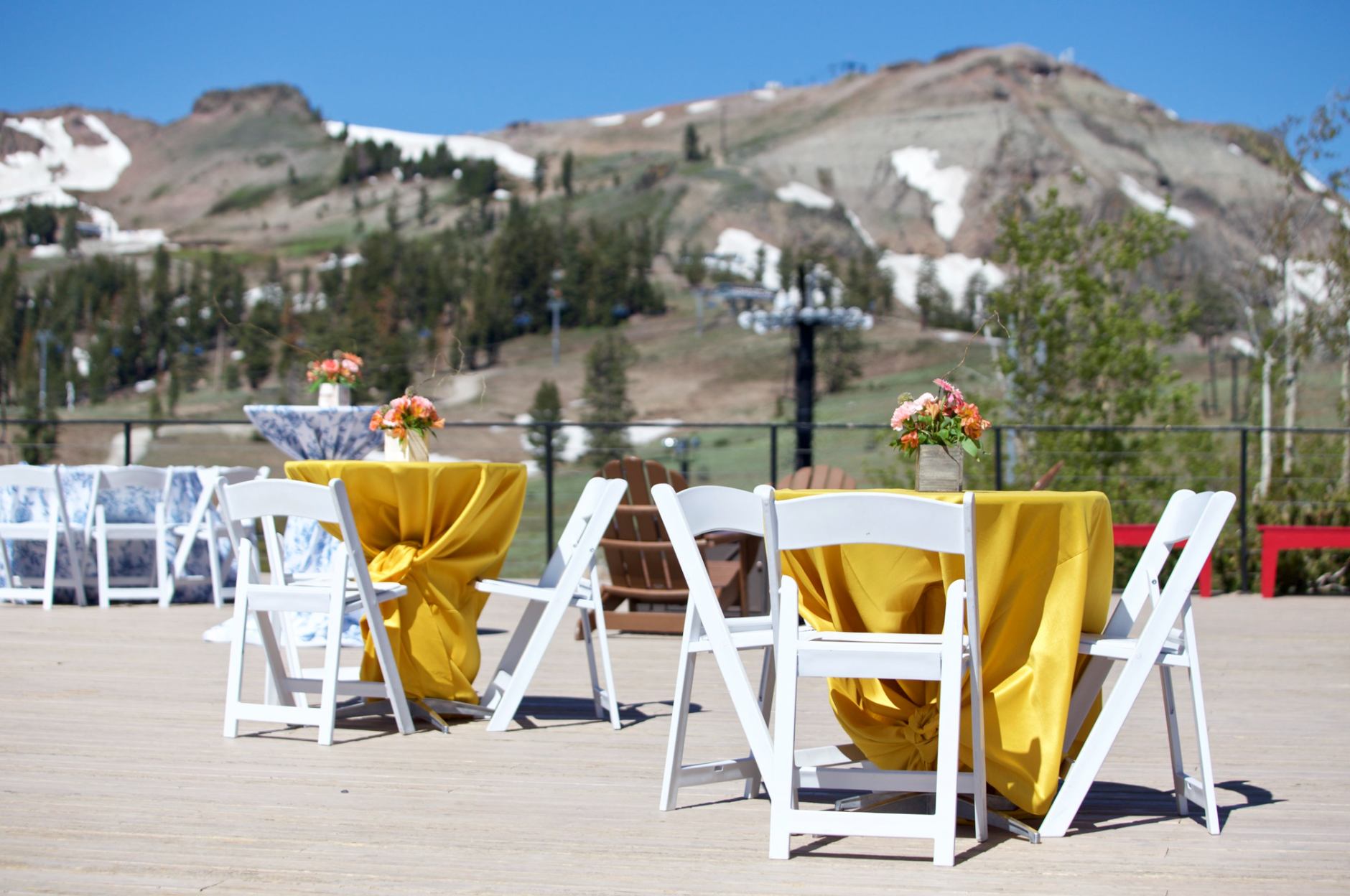 Screen Shot 2022-07-10 at 8.51.32 AM.png