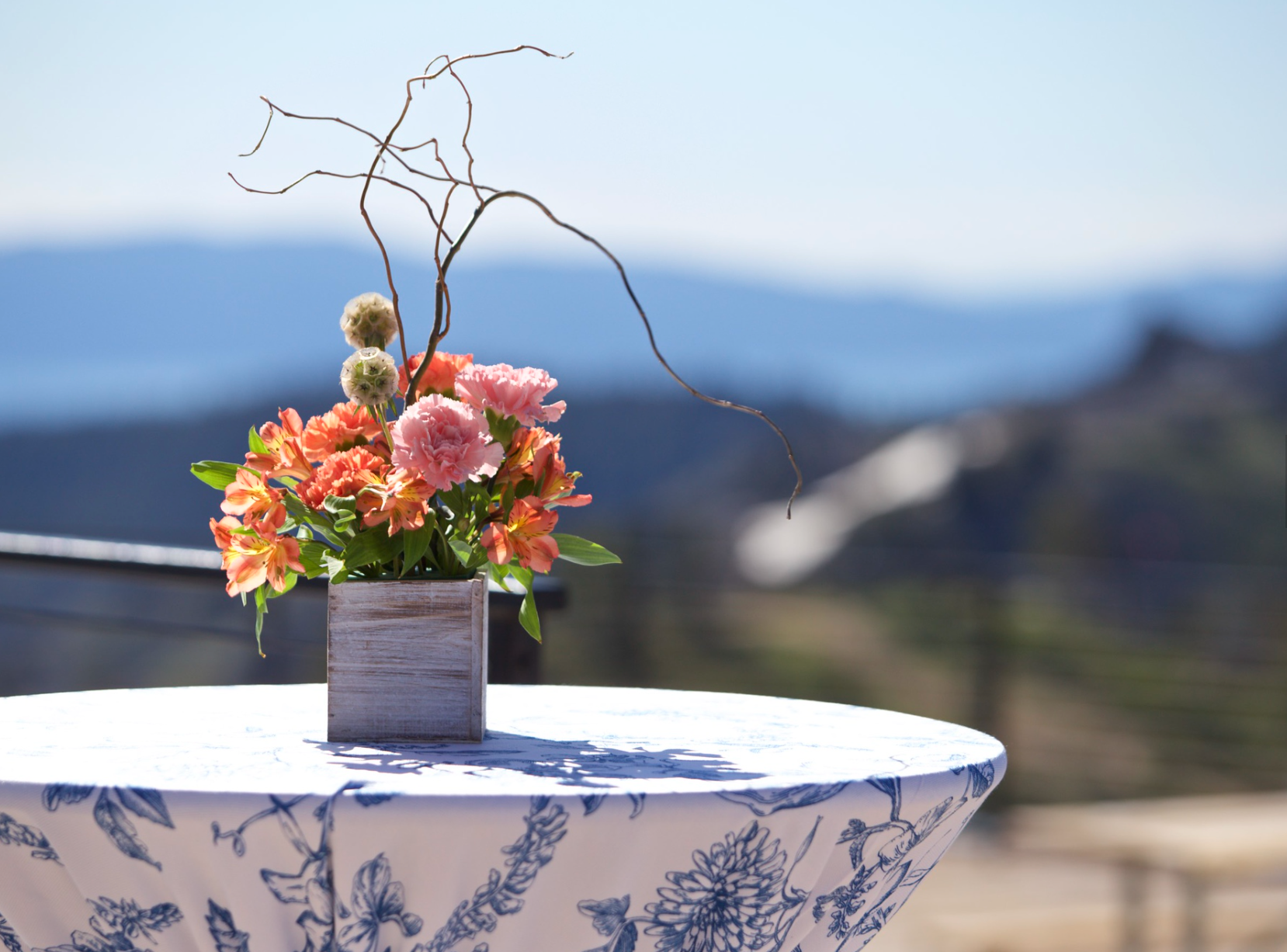 Screen Shot 2022-07-10 at 8.51.03 AM.png