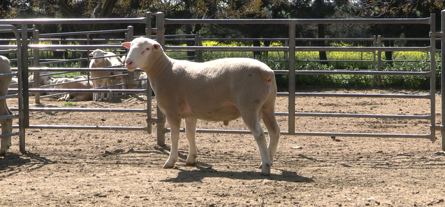 Screenshot 2023-09-04 173457.png