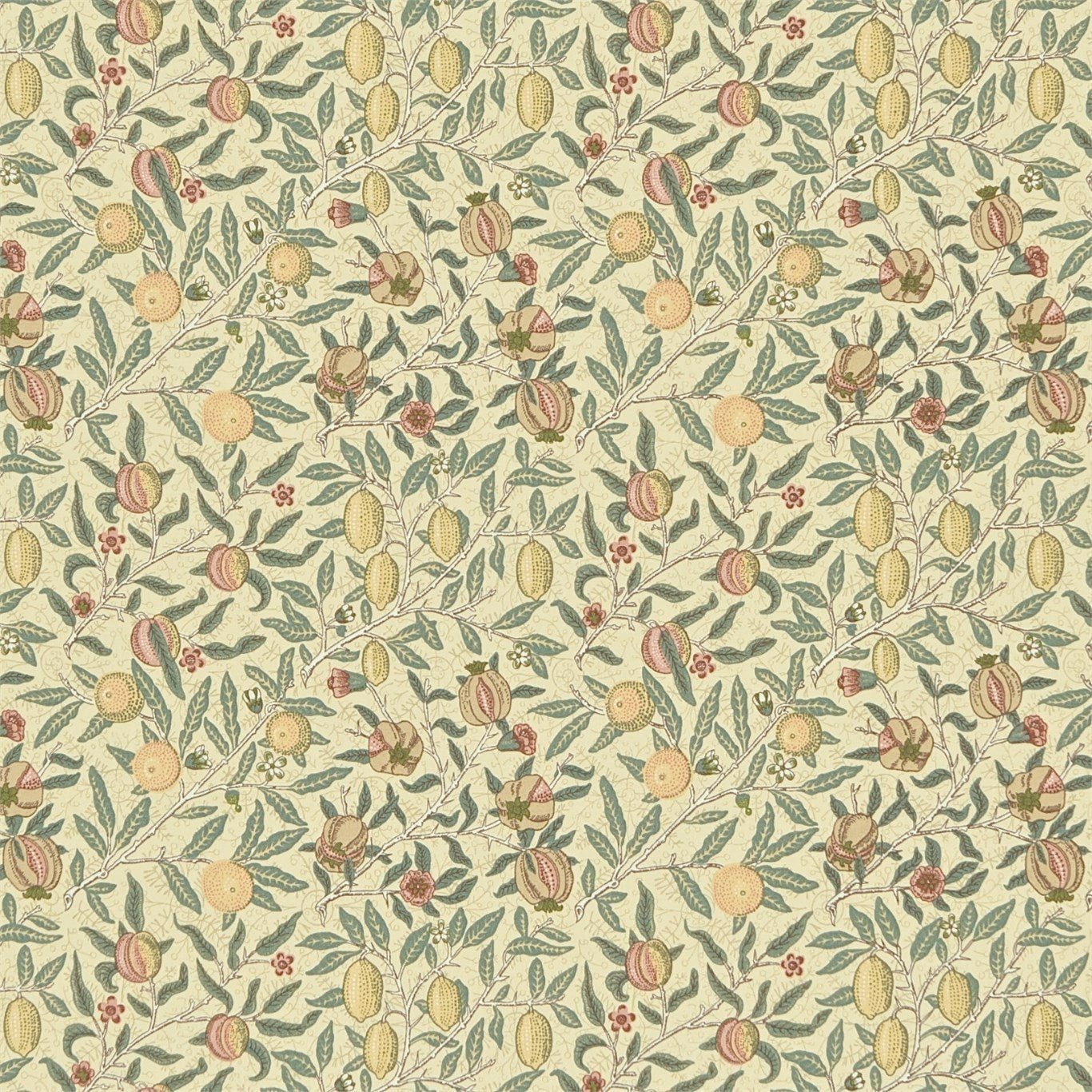 https://i.etsystatic.com/41947869/r/il/1b36a7/5009415281/il_fullxfull.5009415281_hui2.jpg
