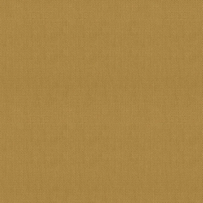 30838_1616.jpg
