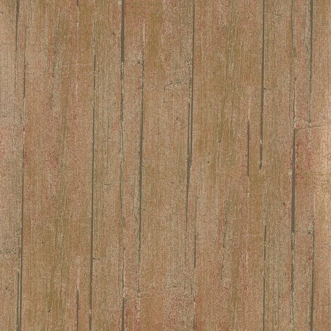 FG081_P101.jpg
