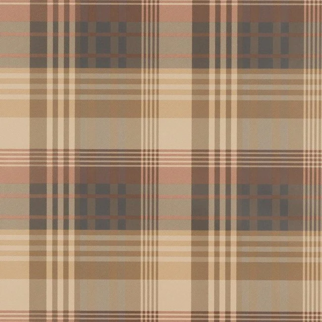 FG079_V78.jpg