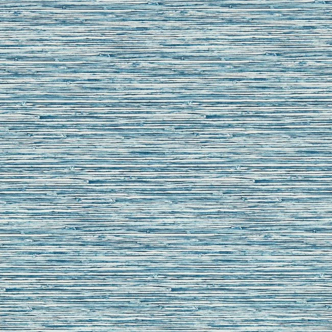 W0192_01_CAC.jpg