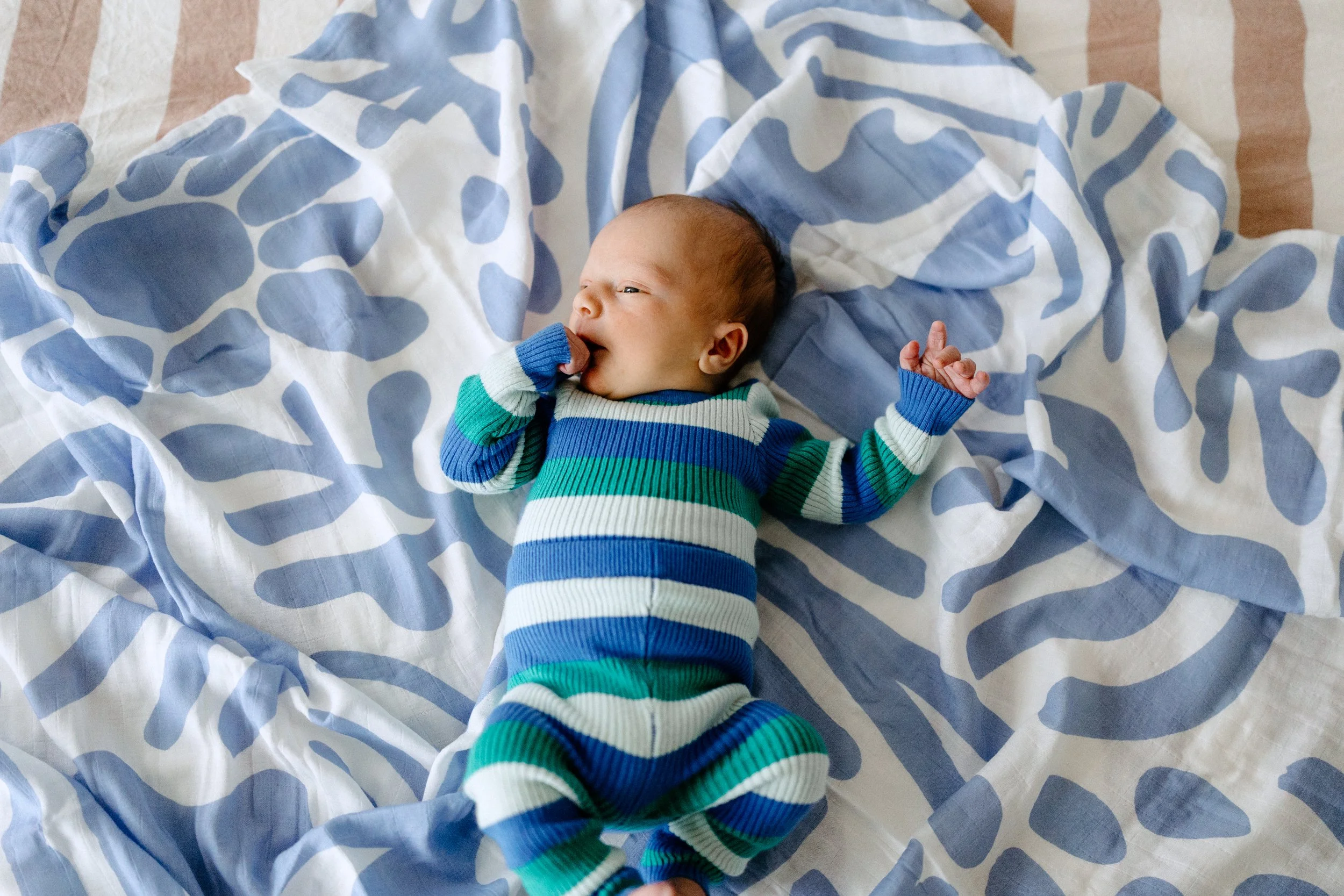 Chelsea Dylan - Jagger newborn -87.jpg