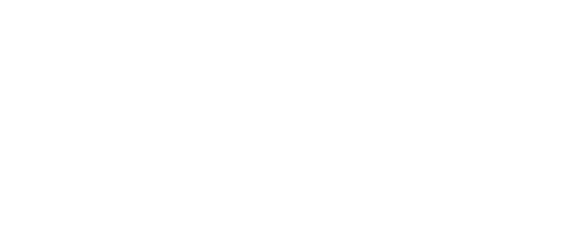 NexusSolutionsWhite.png