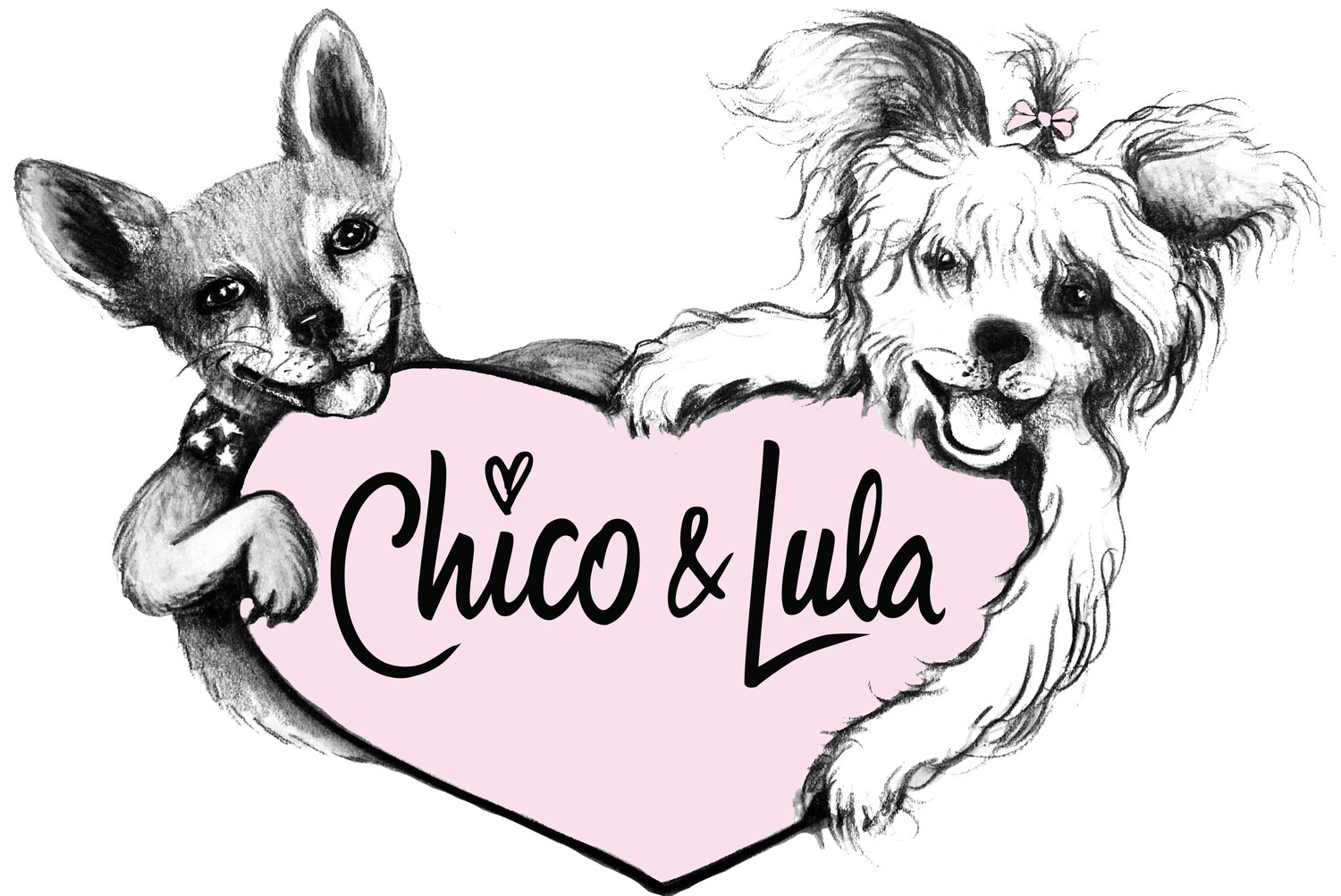 Chico &amp; Lula
