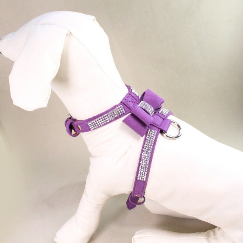 Purp Bowt Harness.jpeg
