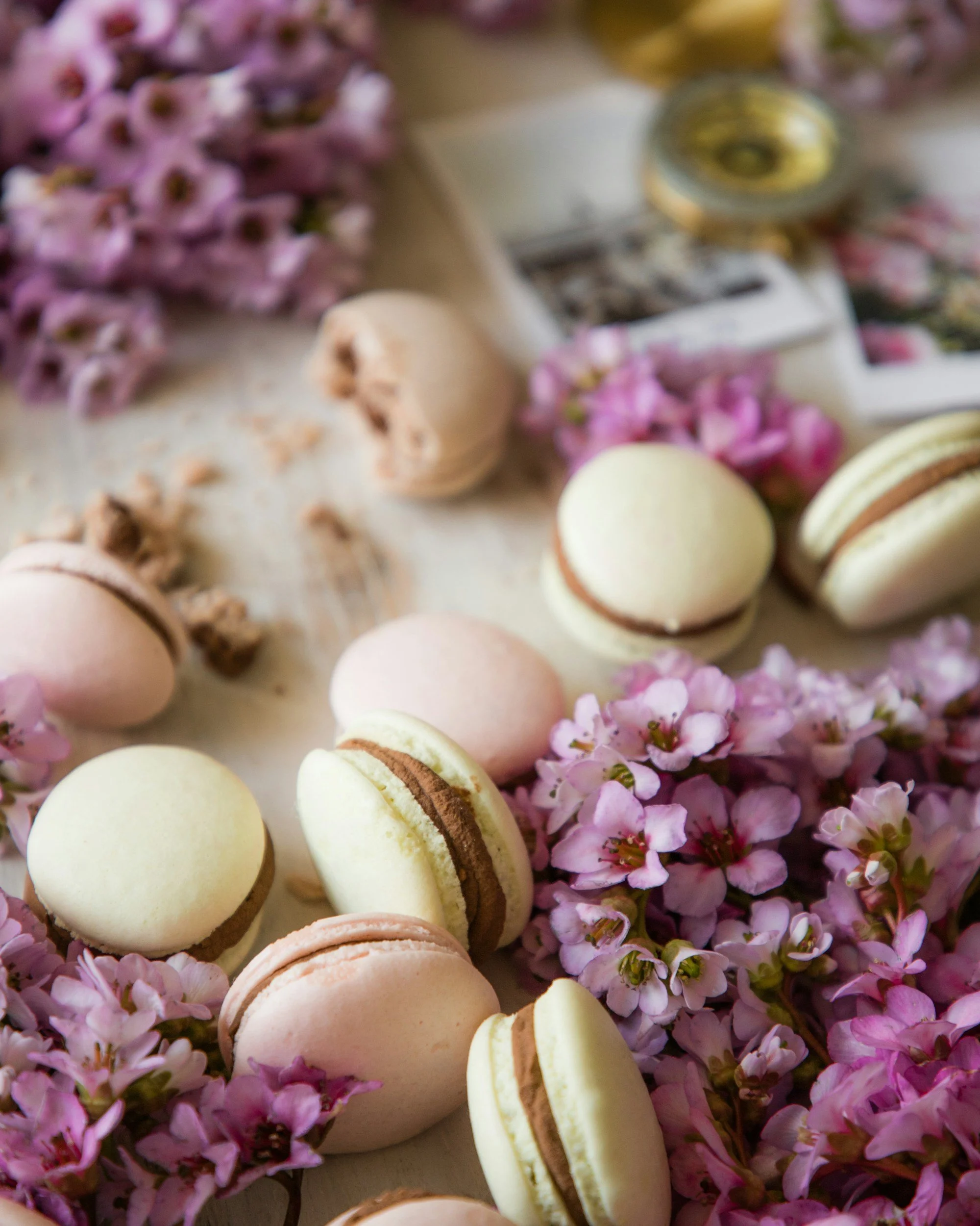 Pink, white, and yellow macarons surrounded by pink flowers on a light-colored surface.
