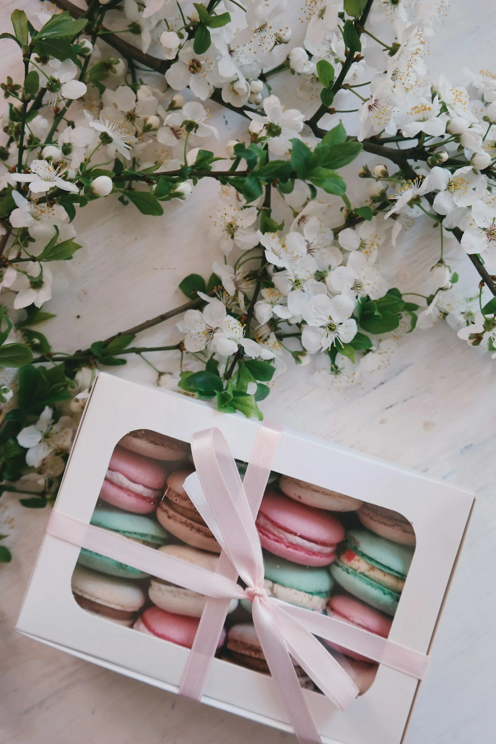 A box of pastel-colored macarons tied with a pink ribbon, placed on a white wooden surface with white flowering branches nearby.