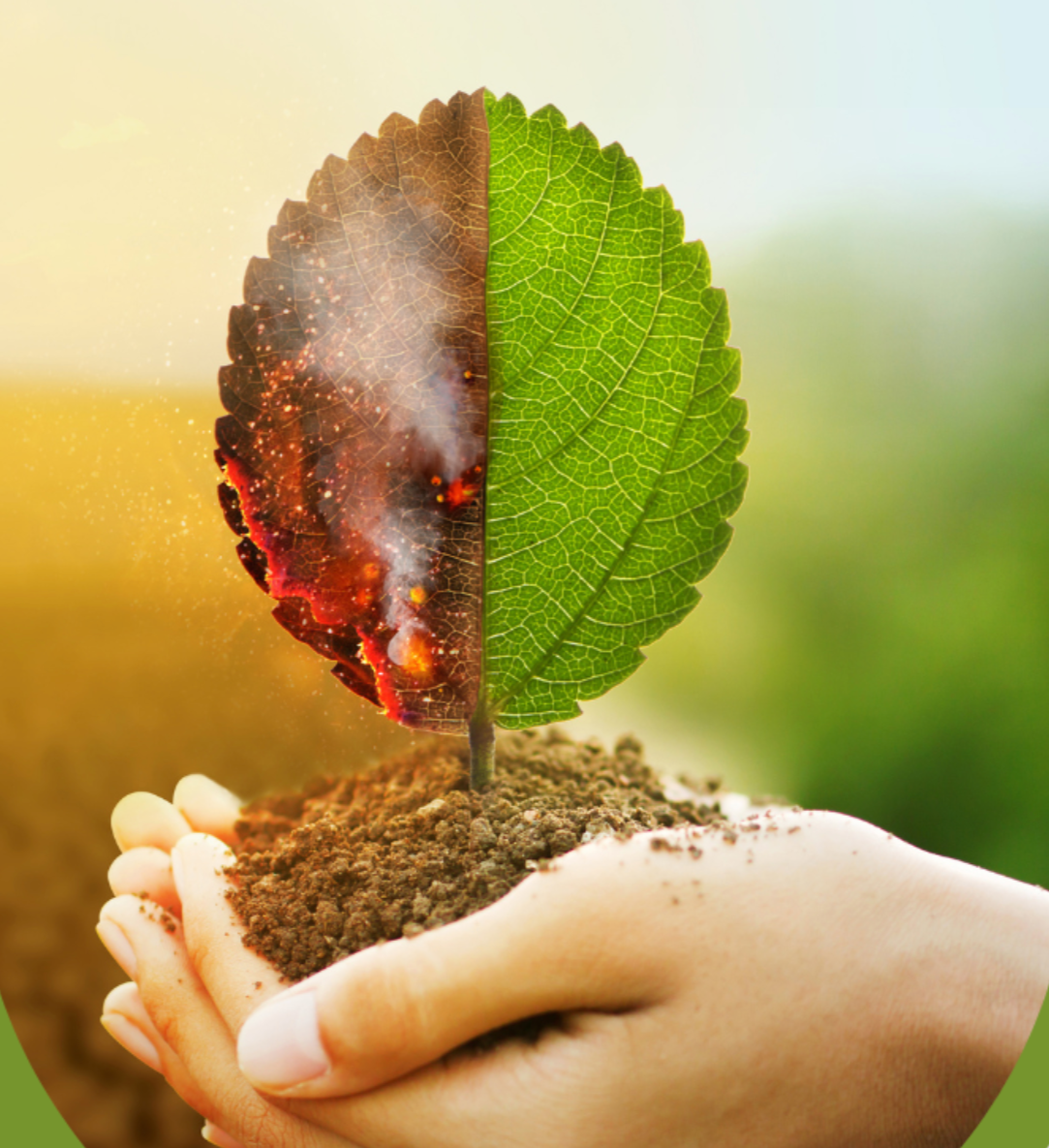 Climate Distress and Clinical Practice: Strategies For Therapist Self-Care and Supporting Clients