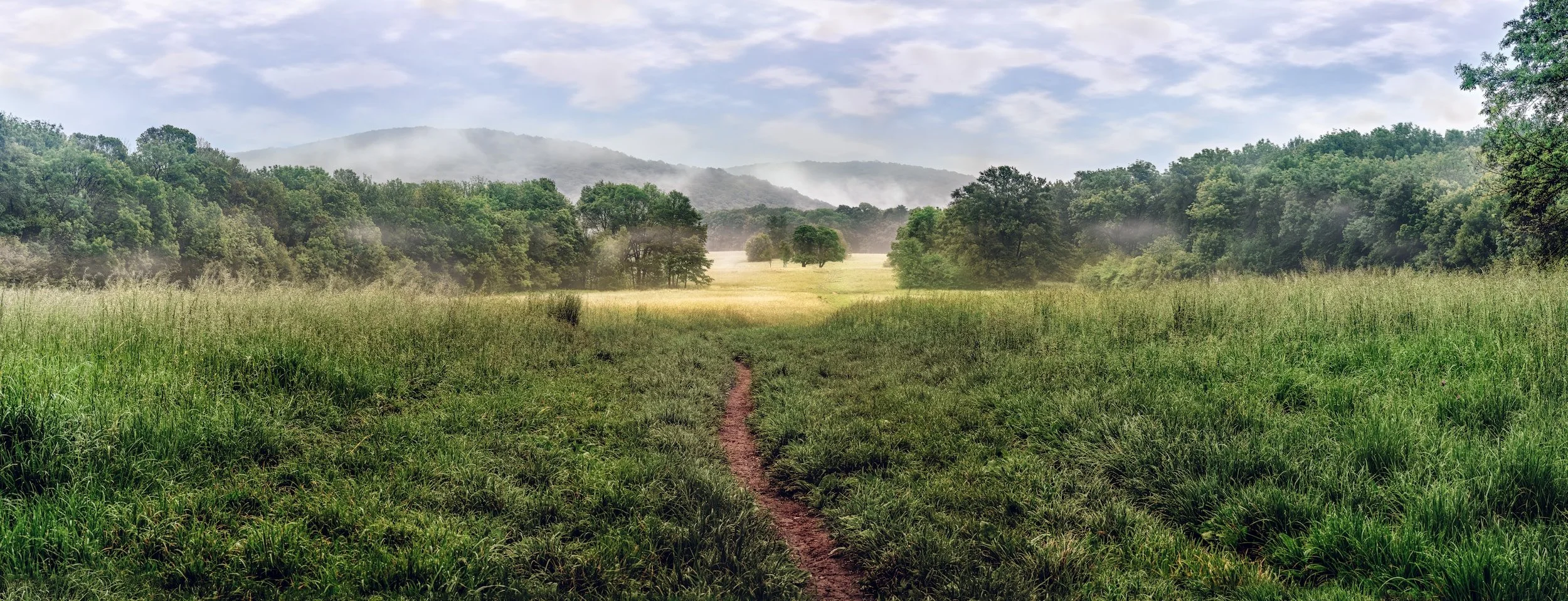 A grassy field with a dirt trail leading into a forested area, with mist hanging over the trees and distant hills, and a partly cloudy sky.