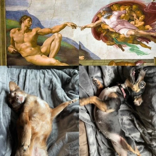 Ollie and Buster - Oregon. Switch two letters and God becomes Dog. Coincidence? I think not. Or perhaps Ollie and Buster were muses for Michelangelo in a prior life? Anything's possible.