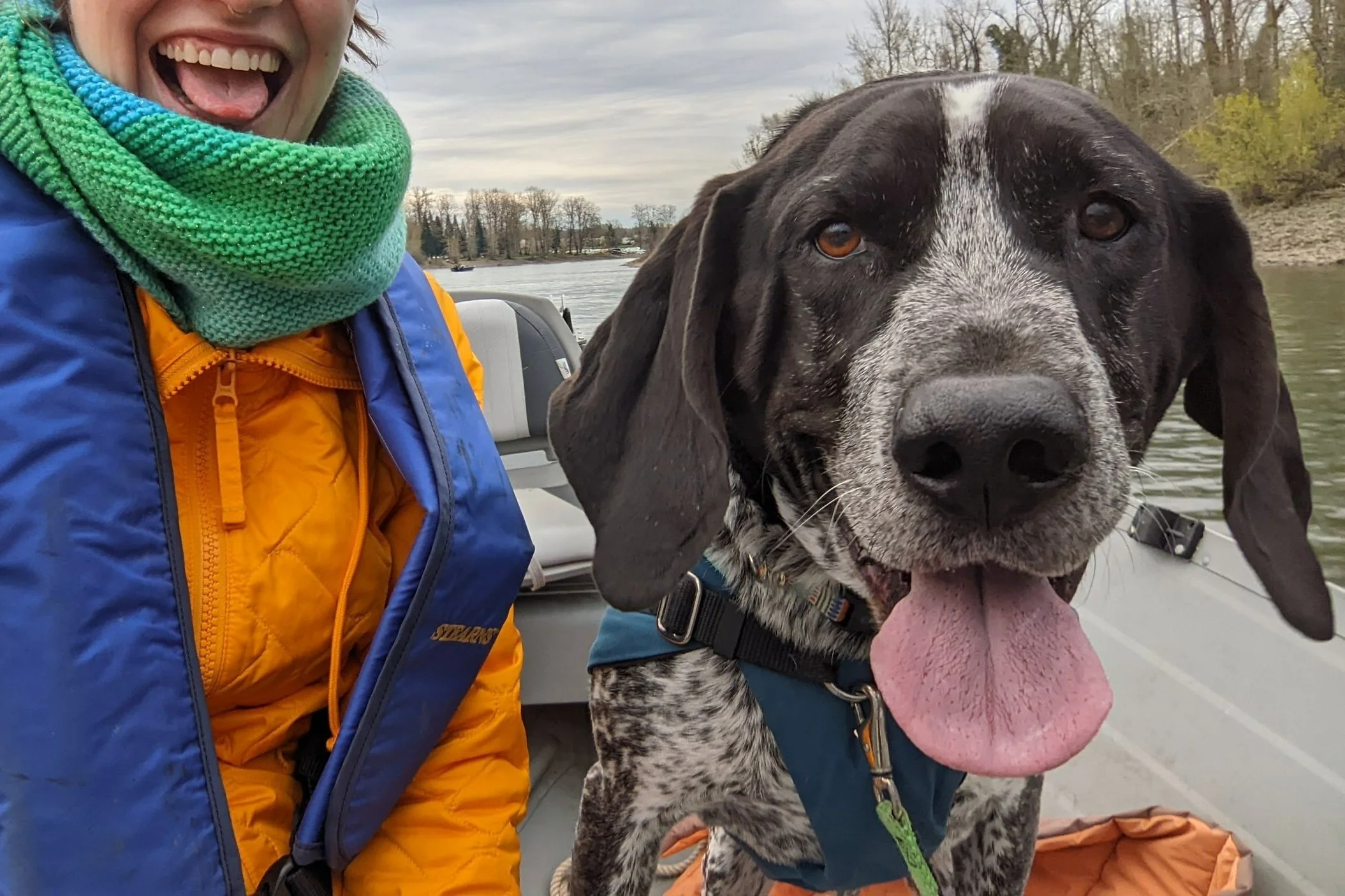 Victory - Oregon. Victory is a lovable boy who loves learning tricks for treats, going on walks and snuggling with his mama! His biggest crime is that he gets so excited and barks his mighty hound dog bark which instills great fear in all around him.