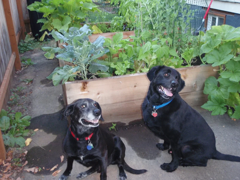 Charlie and Eli - Day One