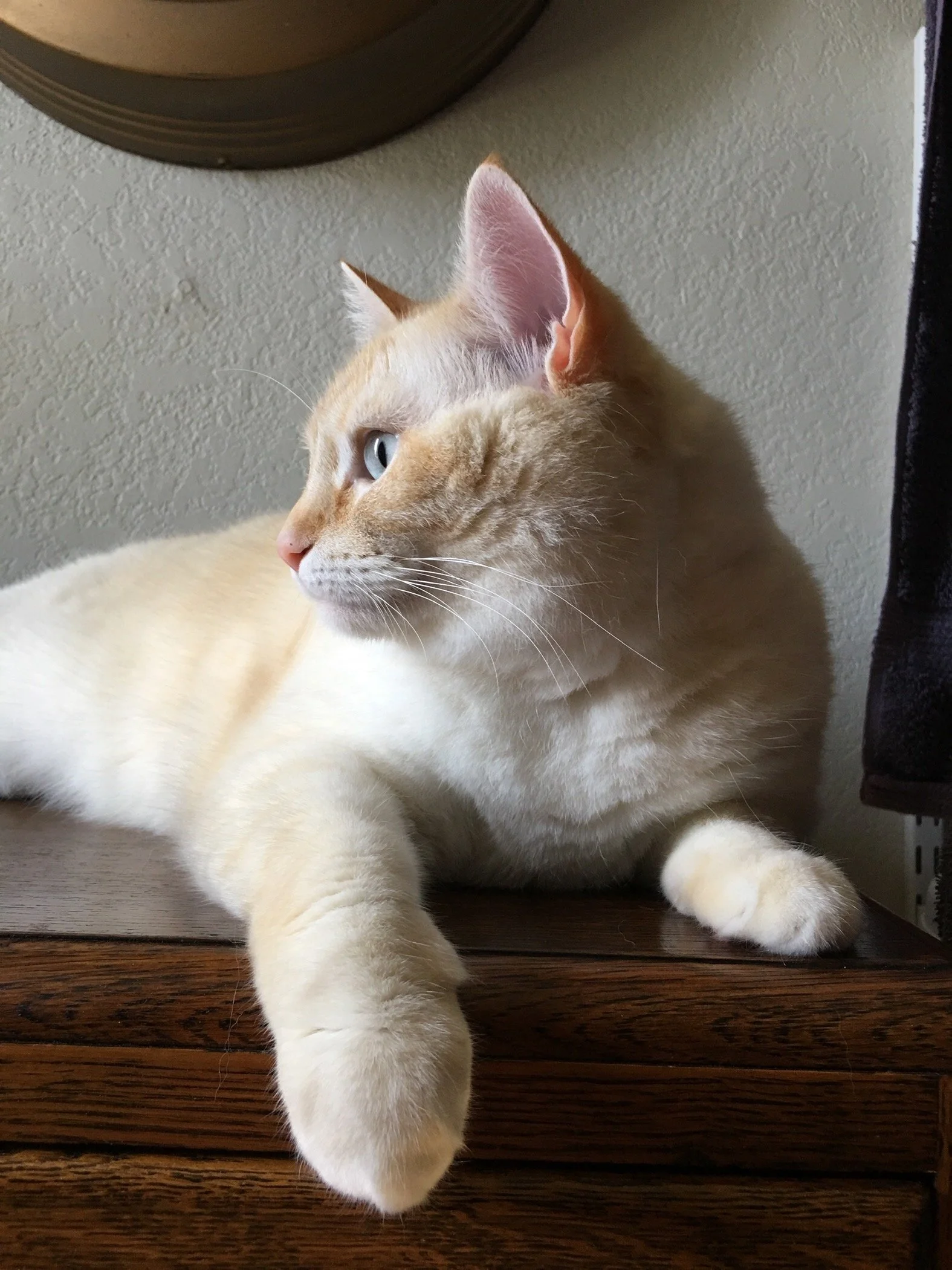 Contemplation from Sharon.jpeg