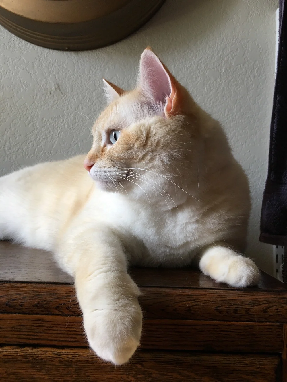 Contemplation from Sharon.jpeg