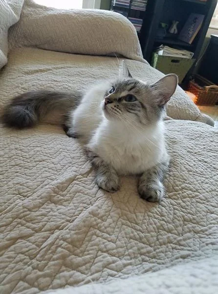 Ready for Bed from Sharon.jpeg