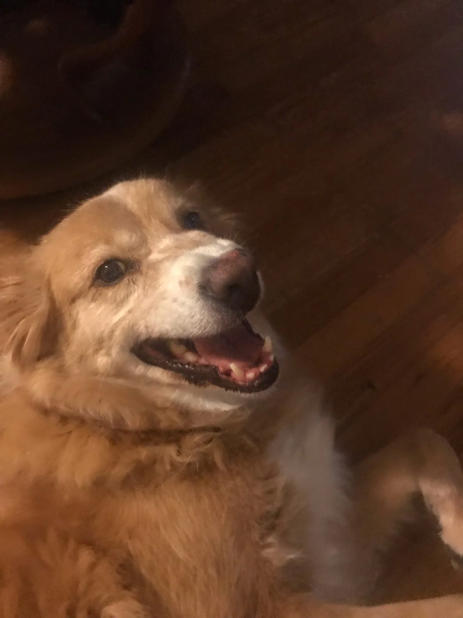 Heidi - Oregon.jpg