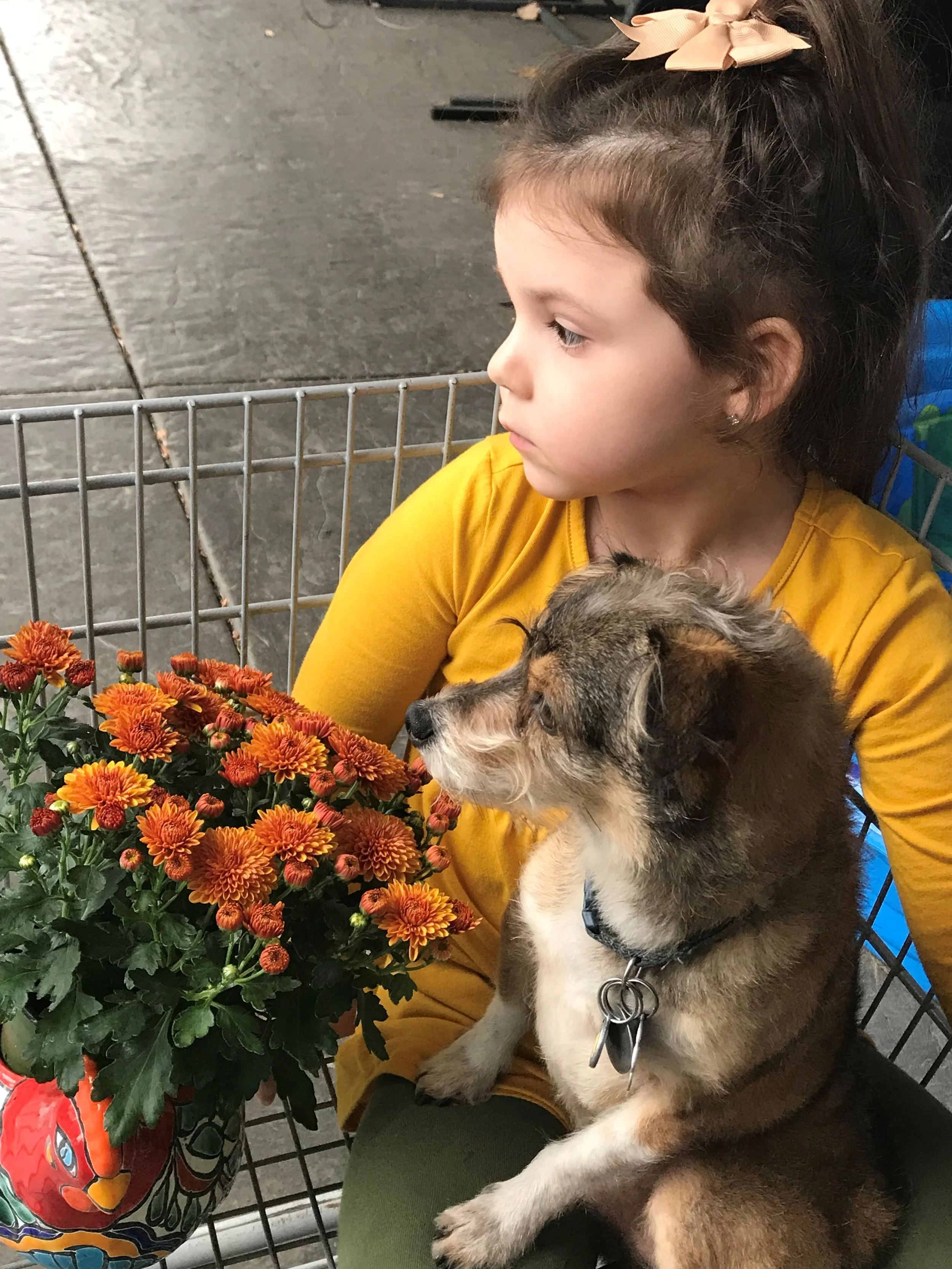George and his best friend, looking pensive - Oregon