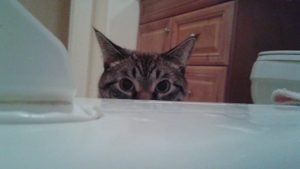 Keeping an eye on you!