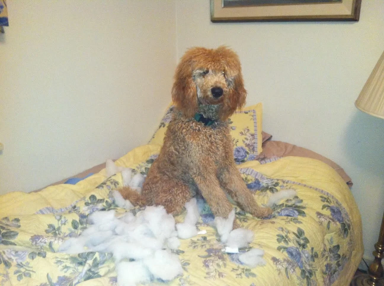 Finn - Oregon. At the scene of the crime!