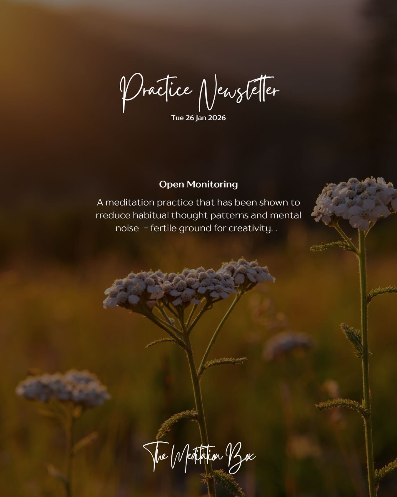 Last week in the Practice Newsletter we looked at FA meditation - this week it&rsquo;s Open Monitoring (OM) Meditation for creativity.

Open Monitoring meditation invites awareness to whatever arises &hellip; thoughts, sensations, sounds &hellip; wit