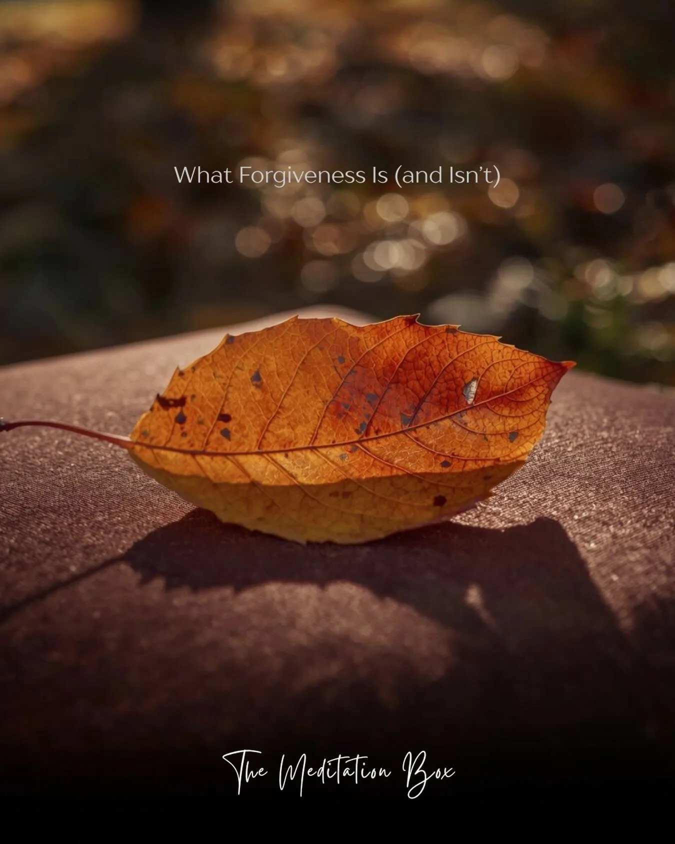 The book I&rsquo;m reading right now &hellip; it&rsquo;s powerful!

I&rsquo;ve got a few key takeaways I&rsquo;d like to share (so far) &hellip; 

+ Forgiveness is not about excusing what hurt us.

+ It&rsquo;s not about bypassing our grief.

+ And i