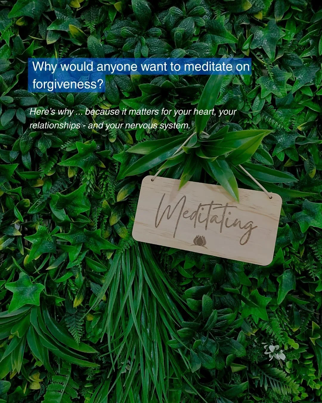 Why meditate on forgiveness?

Because unresolved hurt lives in the body long after the event itself. 

Anger, resentment, or betrayal can keep your nervous system in a&nbsp;stress state, make your thoughts loop, and even affect your sleep, mood, and 