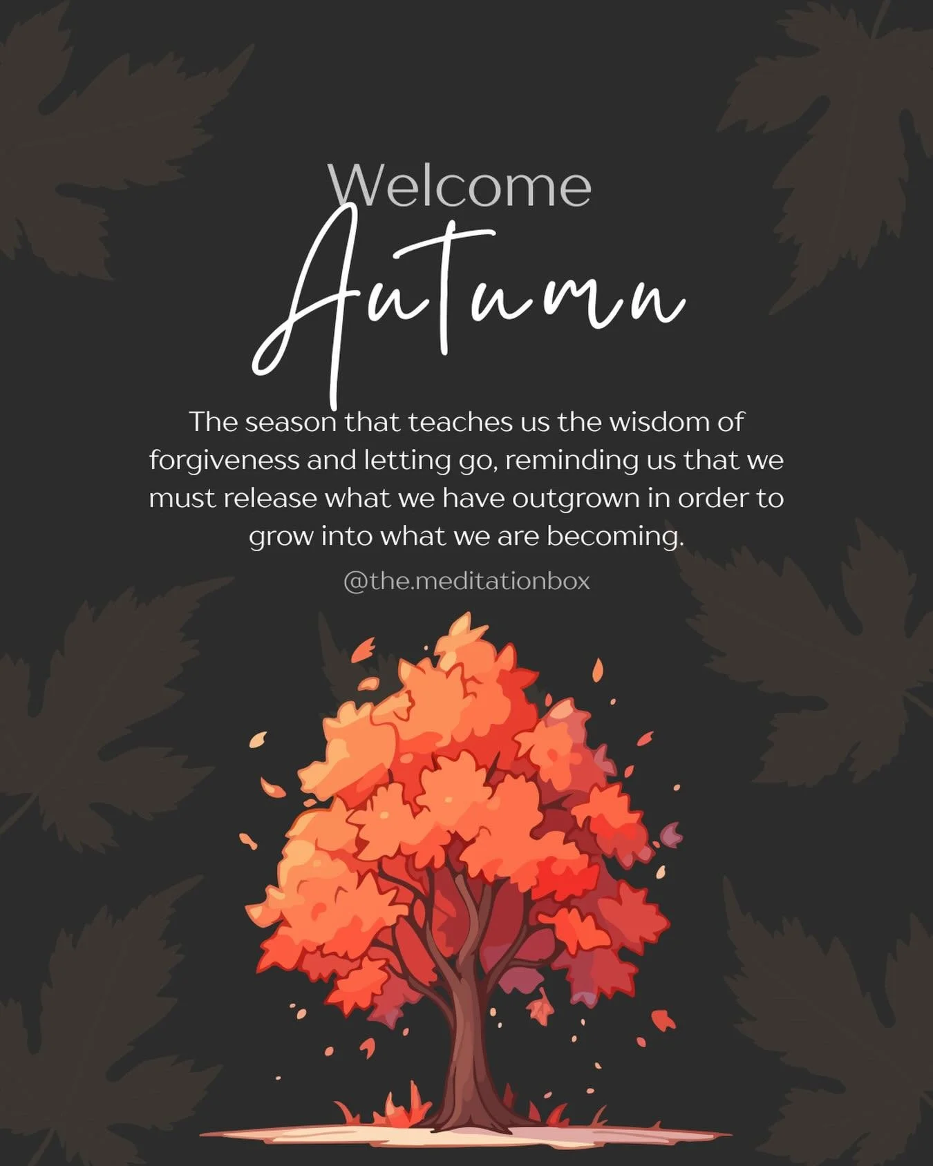 Welcome Autumn &hellip;

Don&rsquo;t think I haven&rsquo;t noticed your subtle, quiet shifting. 

Recently &hellip; my morning meditation is feeling a little cooler and I&rsquo;ve reached for my shawl &hellip; and yet the sun still surprises me with 