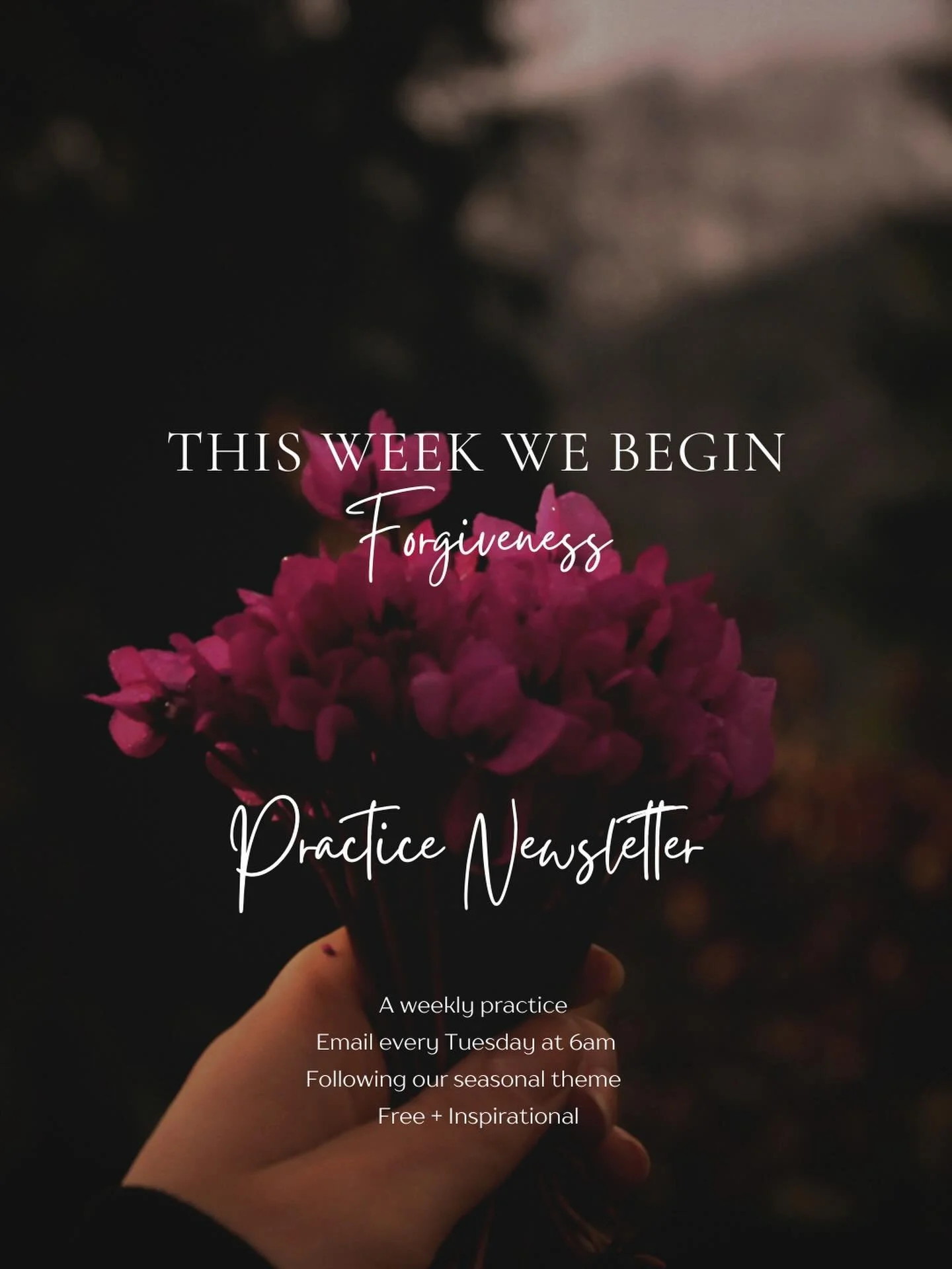 Autumn has its own quiet wisdom.

In nature, the trees begin to release their leaves &hellip; not with force, but with trust in the rhythm of change.

Tomorrow at 6am (Tuesday) our first Practice Newsletter for the season will arrive, exploring the t