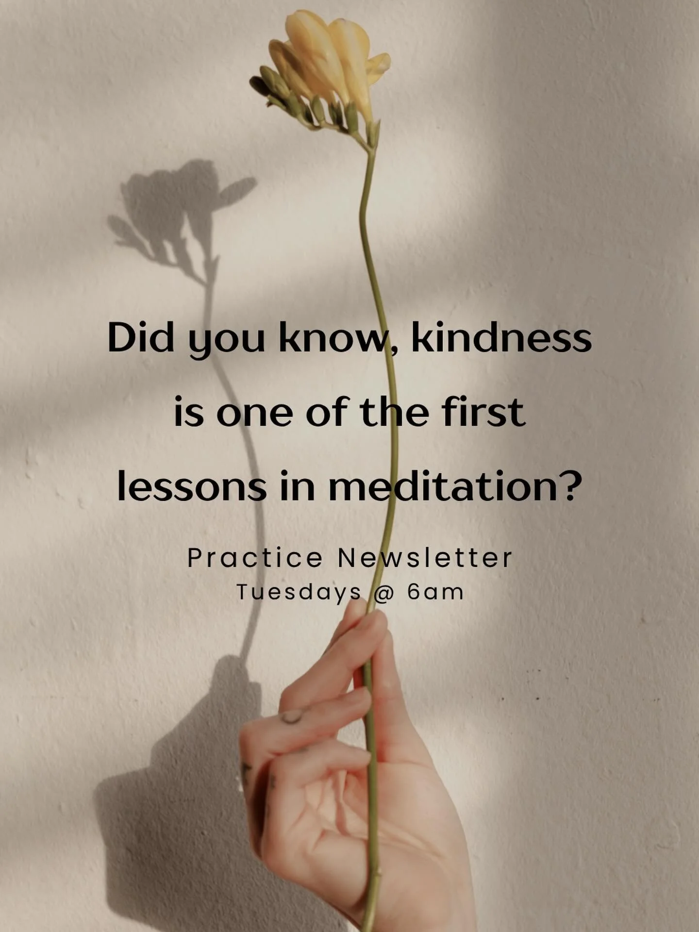 Did you know, kindness is one of the first lessons in meditation?

My teacher shared this with me when I first came to meditation &hellip; it still resonates (daily) 🙏🏼

And forgiveness lives right there beside it.

In the pause after we notice we 