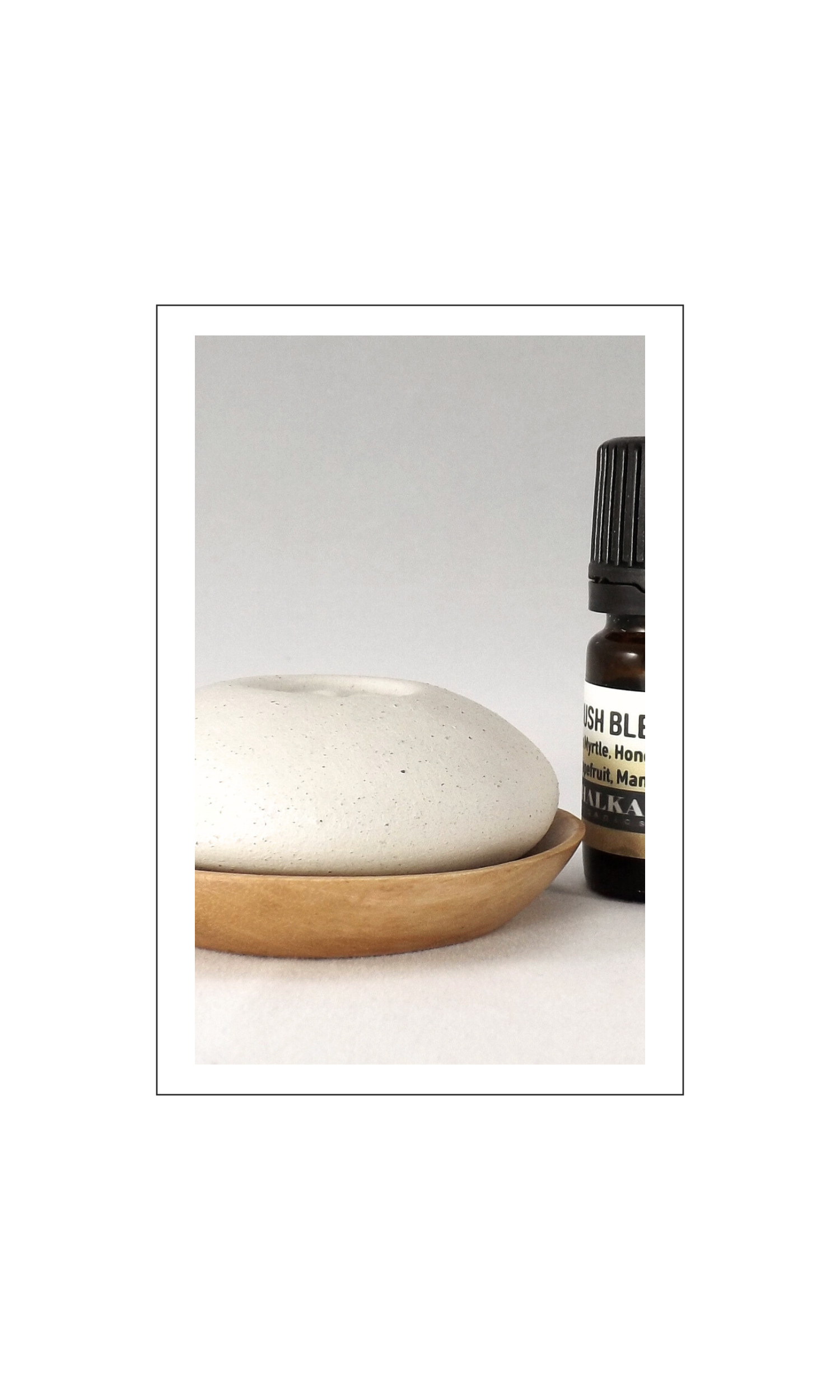 Seed Pebble Diffuser.png