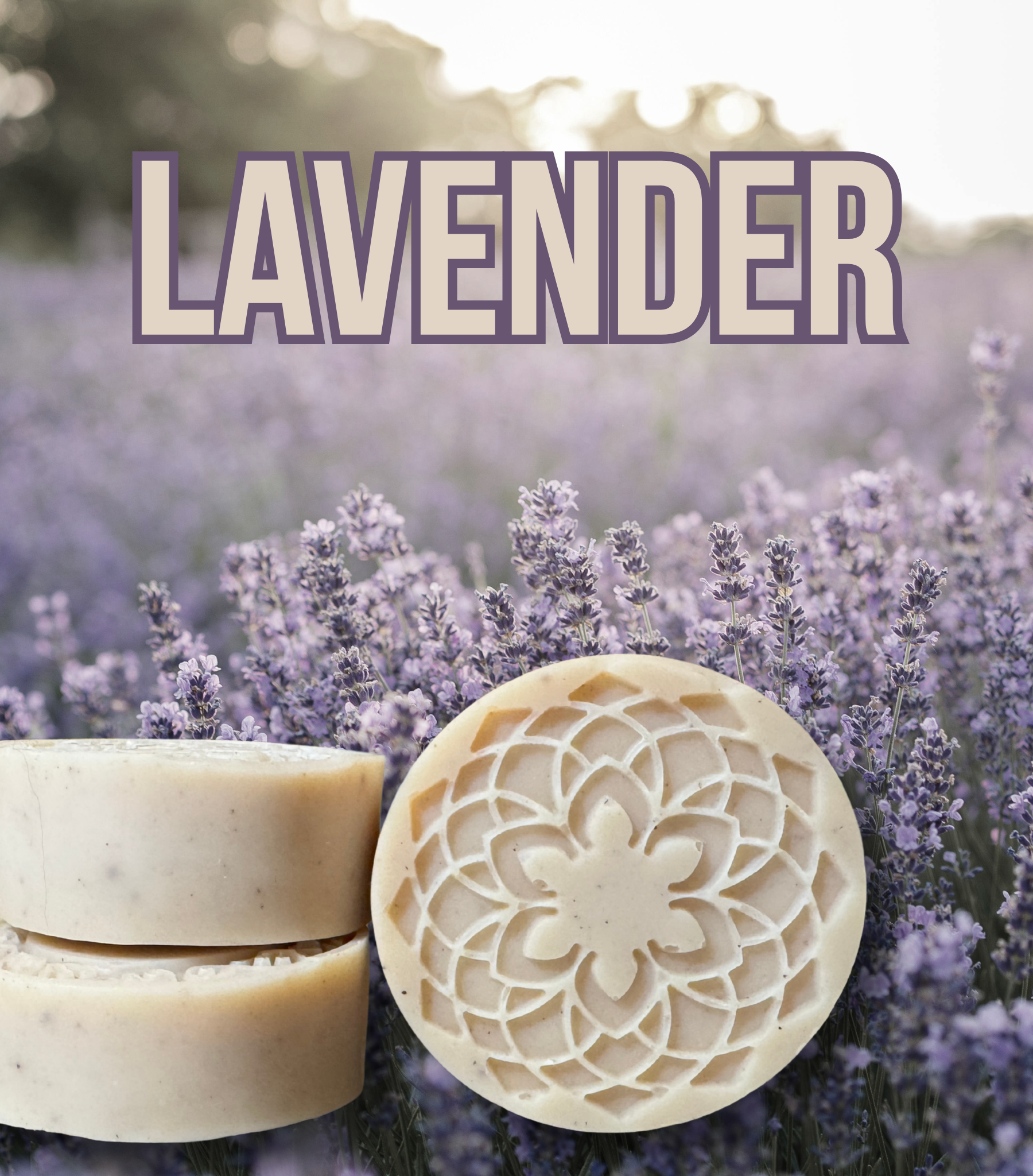 lavender  image .png