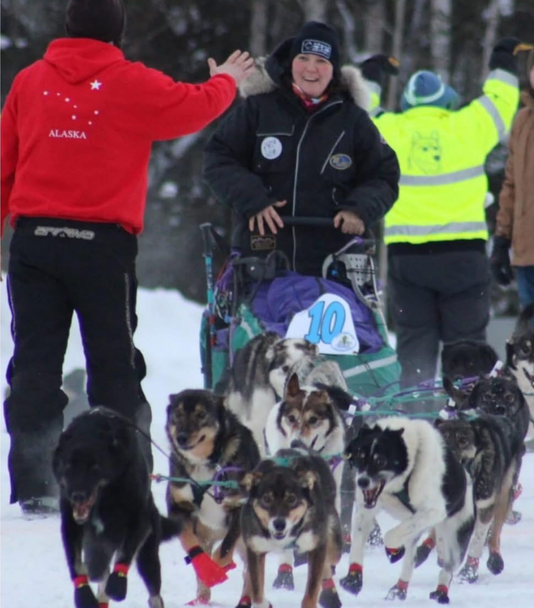 Sled Dog Bootie image 3.png