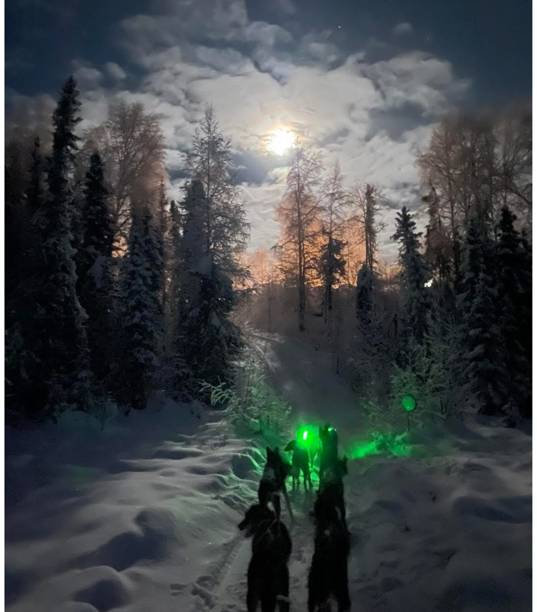 Sled Dog Bootie image 4.png