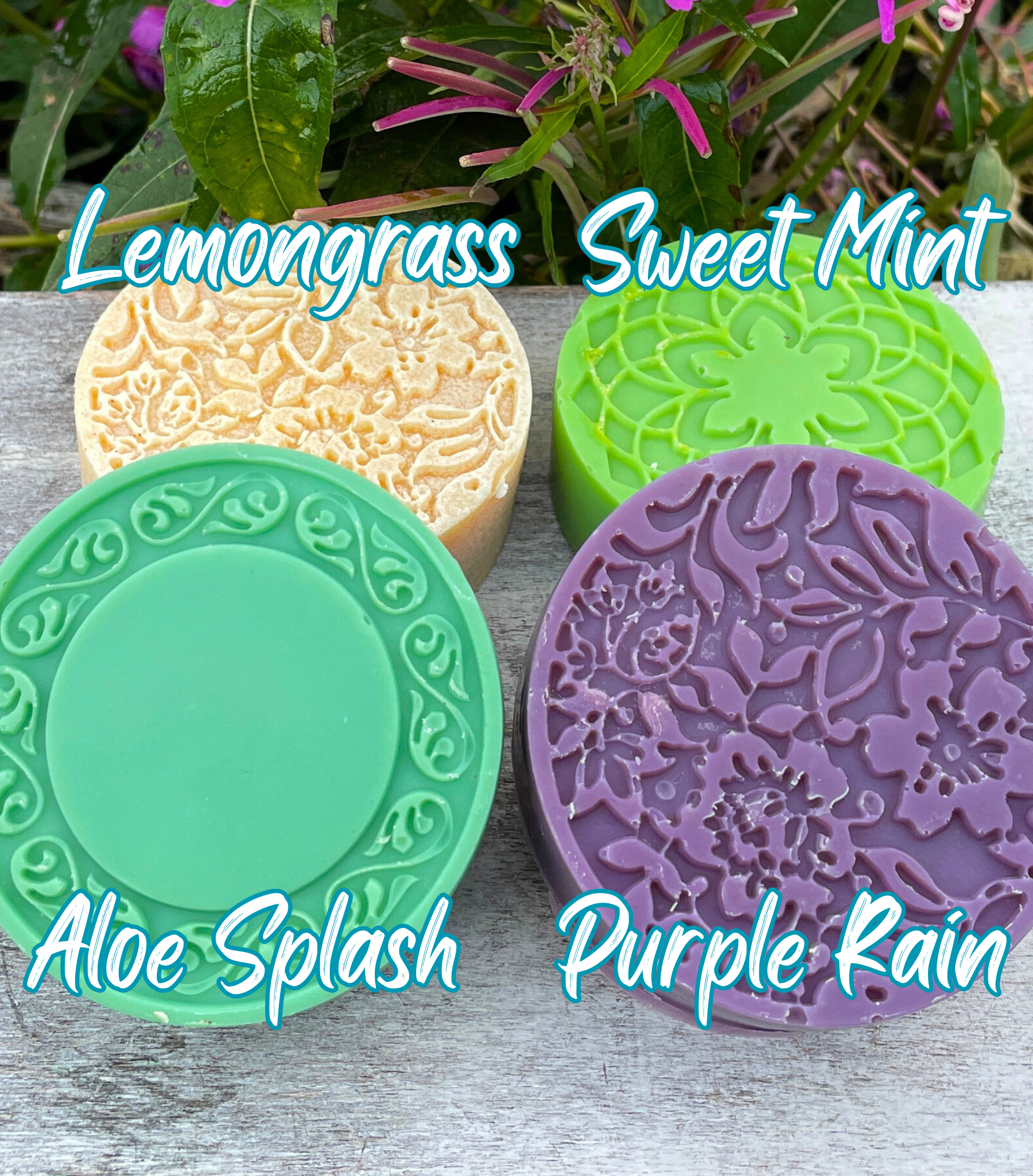shampoo bar.png