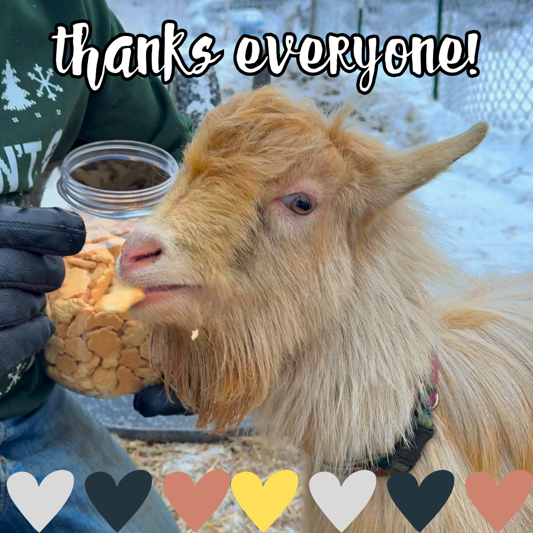 Fergus thanks image.png