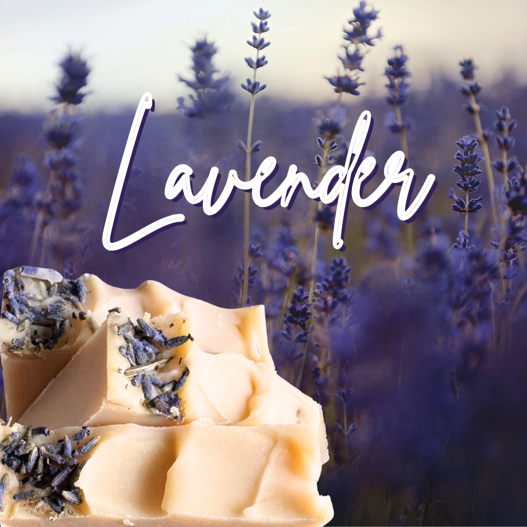 Lavender soap image .png