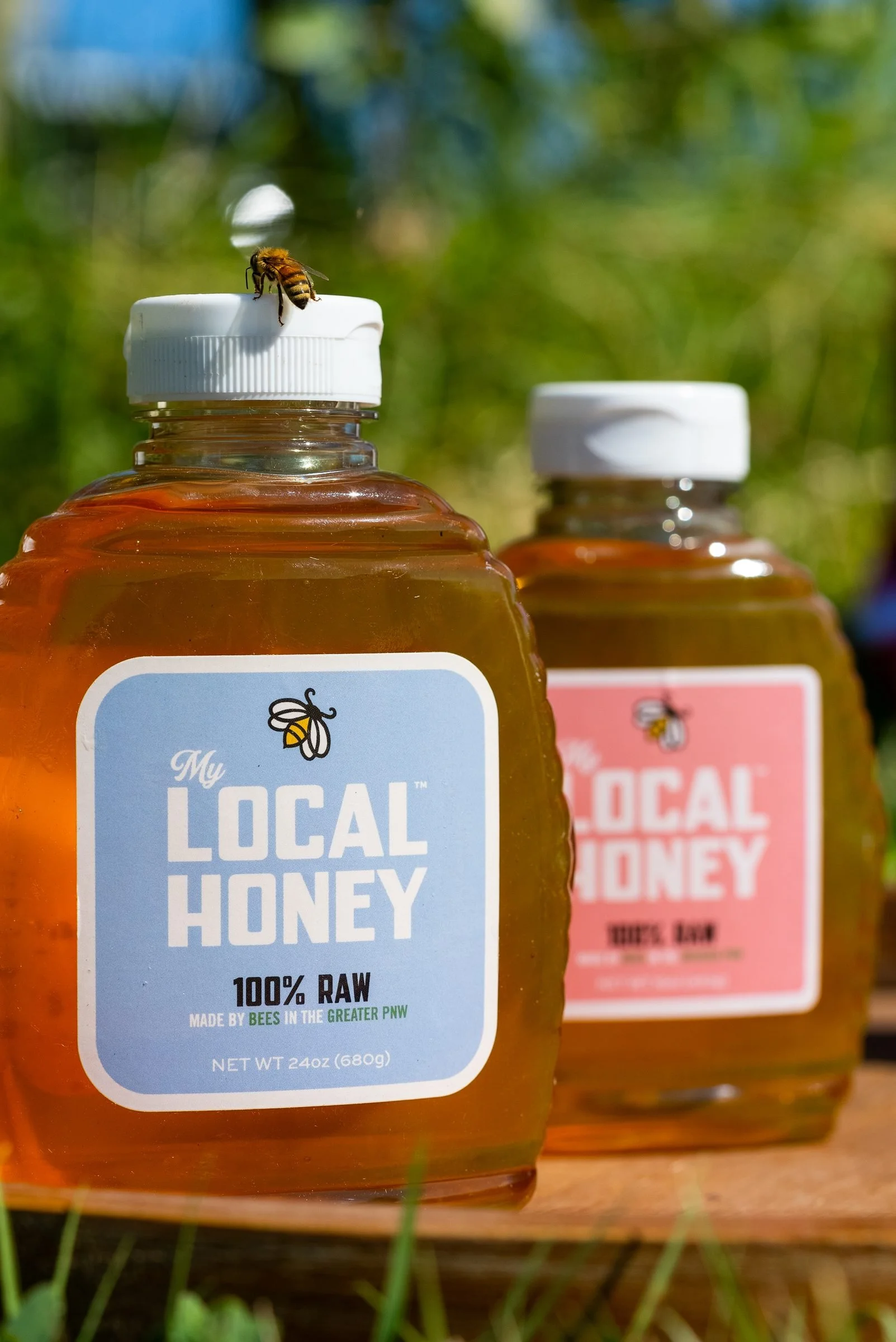 mylocal-honey-bee.jpg