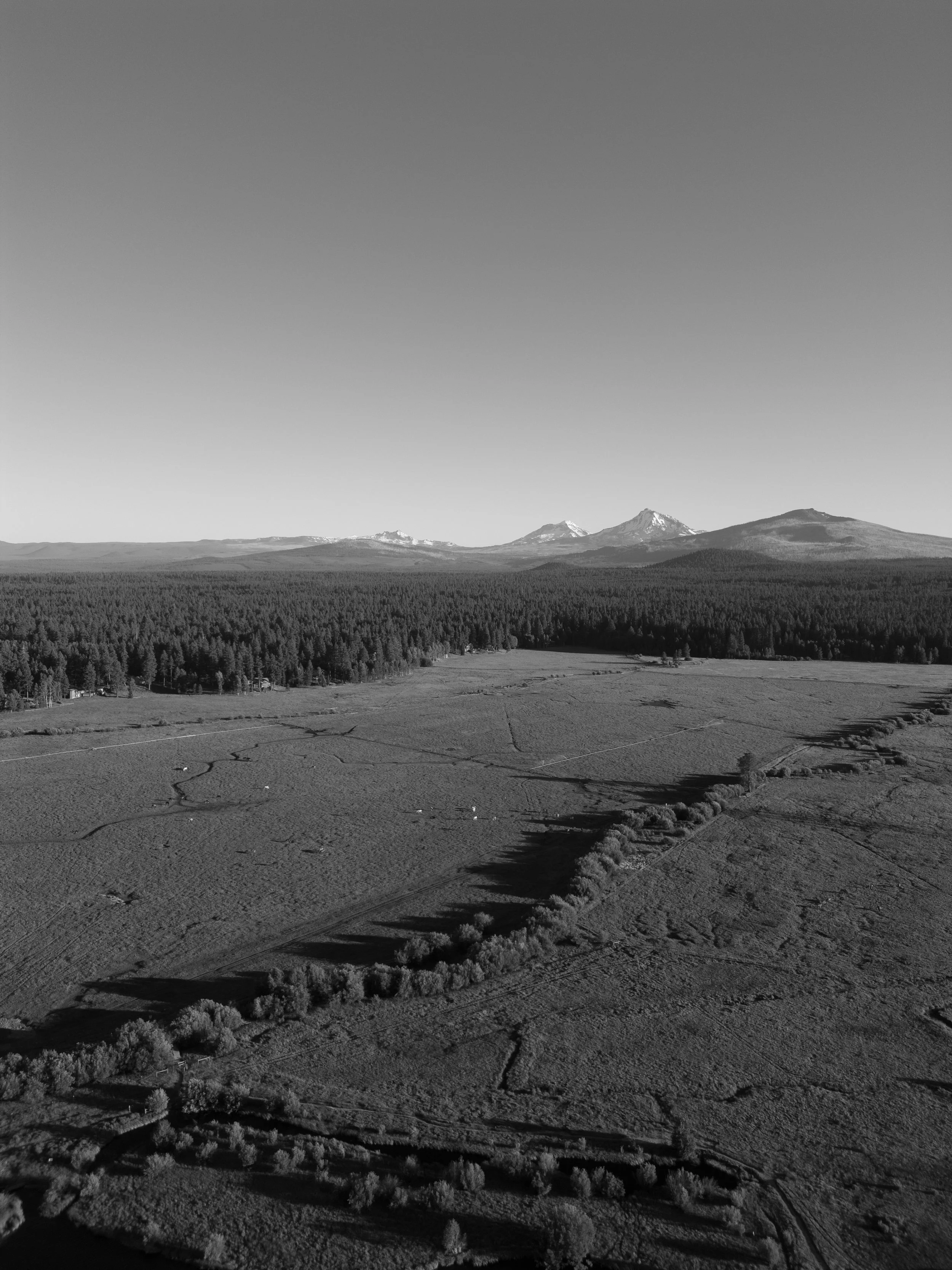 Carlos-Hernandez-Photography-Marjorie-Wheeler-Black-Butte-Ranch-0288.jpg